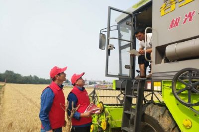 河北電力簡訊：芒種忙忙割，農(nóng)家樂啟鐮