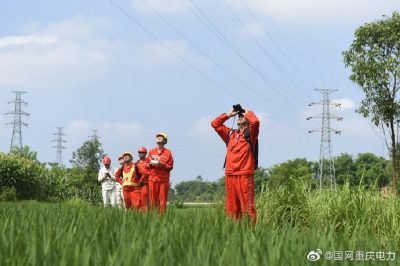 銅梁供電公司對(duì)35千伏天平線開展無(wú)人機(jī)巡視