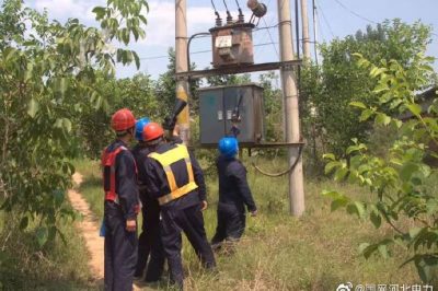 10千伏洛平513線路開展雨后特巡，力保供電可靠