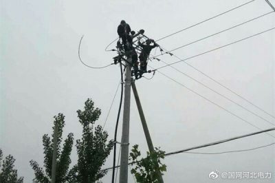 新河縣供電公司092西工線線路改造，更換大直徑絕緣導線