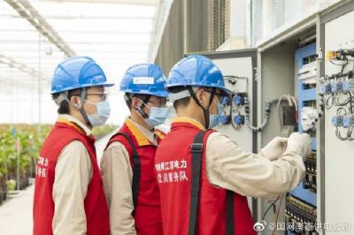 為大棚電力線路、電氣化設(shè)備進行縝密排查和整改消缺